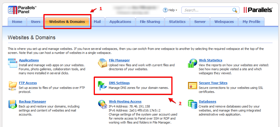 Parallels Plesk Panel DNS zone editor interface